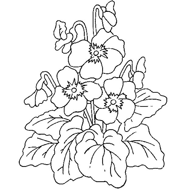 Plansa de colorat cu Flori 20 13